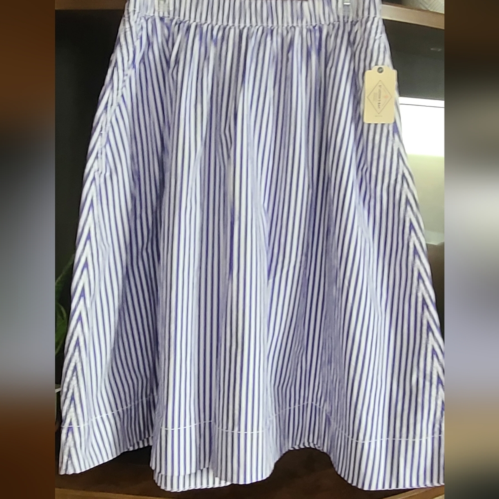 Blue and White Striped Women's Skirt